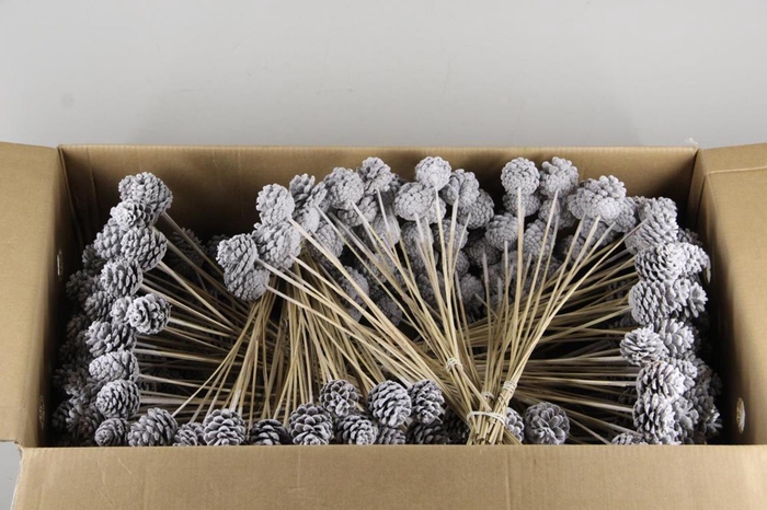 <h4>Stick pine cone snow</h4>