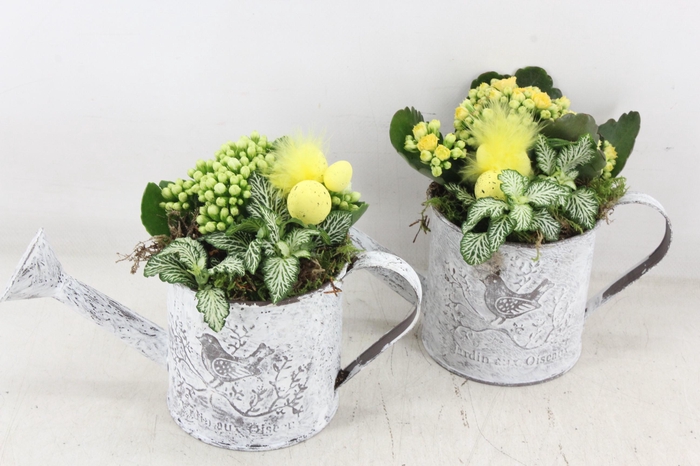 <h4>arr2 TD - Zink gieter - geel/wit</h4>