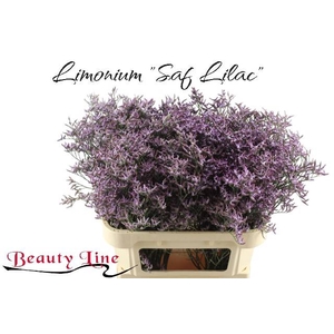 LIM SAF LILAC