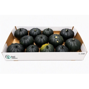 Sier Cuc P Black Cat X12