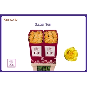 R GR SUPER SUN