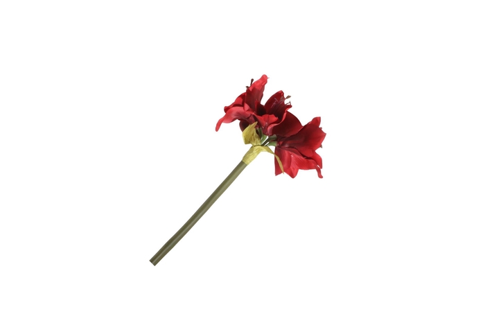 <h4>Amaryllis Mini Red FL440369RED</h4>