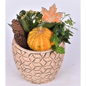 Arrangementen Sierfruit