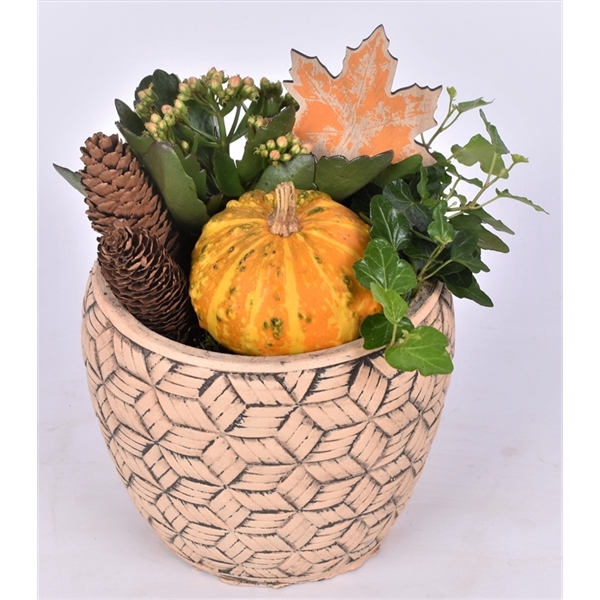 <h4>Arrangementen Sierfruit</h4>
