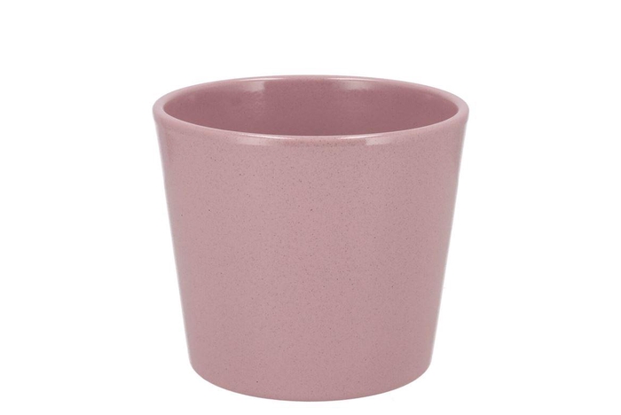 <h4>Ceramic Rosa Stone Pot 15cm</h4>