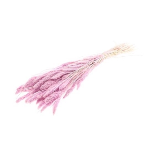 Bunch Setaria Slv L75 150g