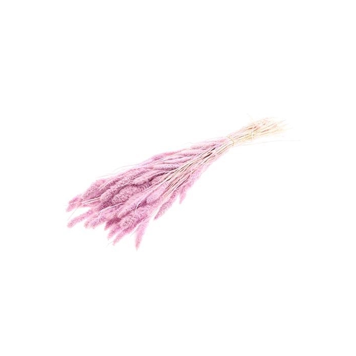 <h4>Bunch Setaria Slv L75 150g</h4>