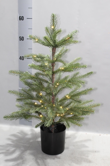 <h4>HUIS EN TUINDECO H%</h4>