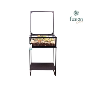 Metaal tafel met Cactussen arrangement