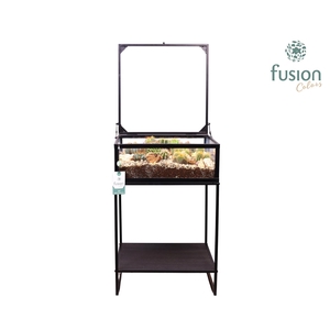 Metaal tafel met Cactussen arrangement 24 uur levertijd