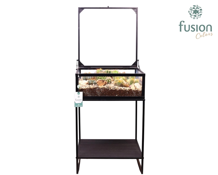 <h4>Metaal tafel met Cactussen arrangement</h4>