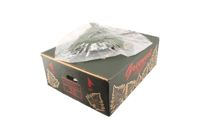 <h4>Lederv. Large V P</h4>