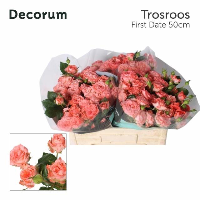 <h4>R TR FIRST DATE</h4>