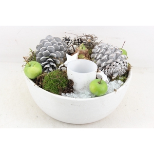 arr4 Amaryllis MB - Ker. schaal white 338/2
