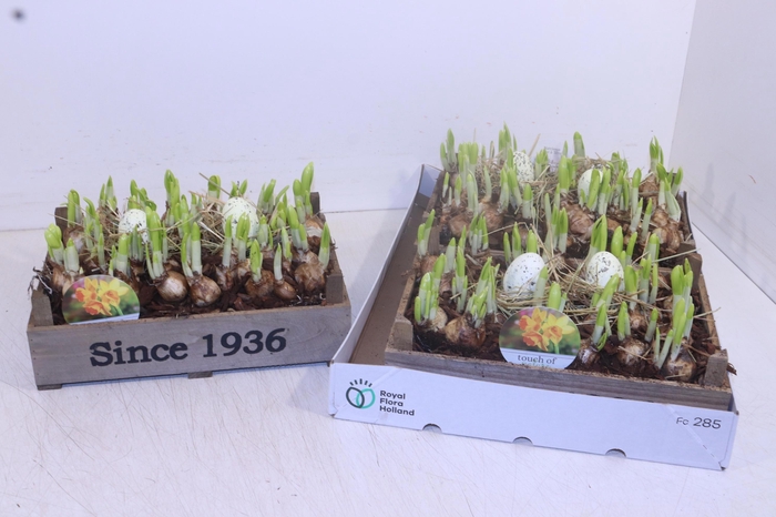 <h4>ARR N TETE A TETE</h4>