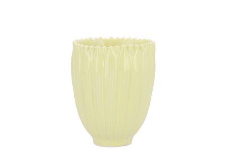 <h4>Bloom Daisy Dreamy Yellow Cup 8x8x9cmv</h4>