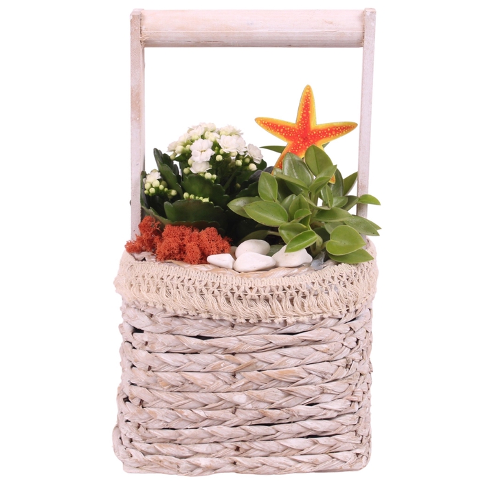 <h4>Opm Maritime Arr. Indoor Willow Handlebasket Squar</h4>