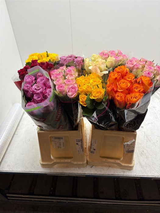 <h4>Bq Mono R Gr Mixed In Bucket</h4>