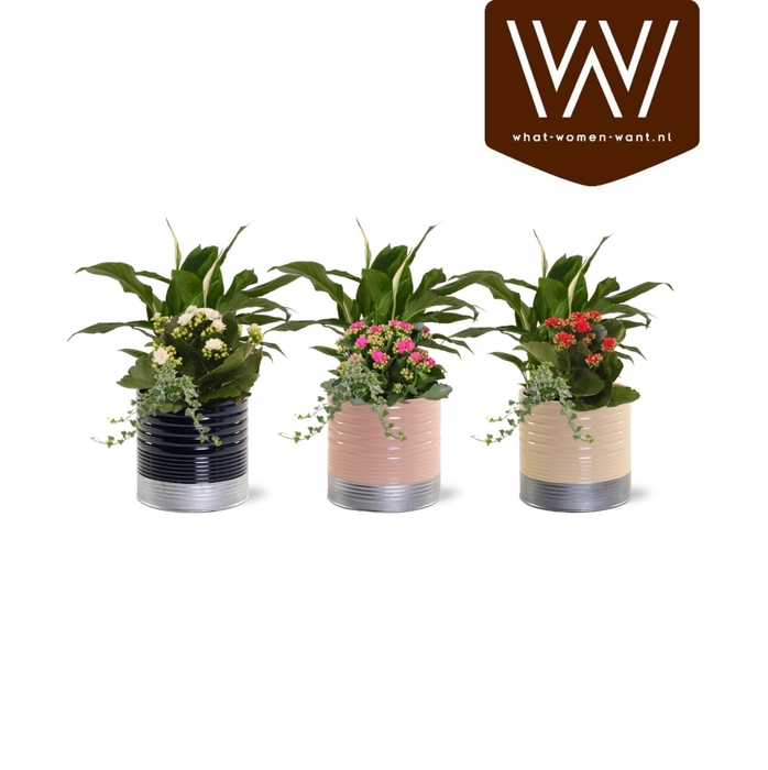 <h4>Collectie 'Bubbeles and wine' Arrangement in Zink Nola</h4>
