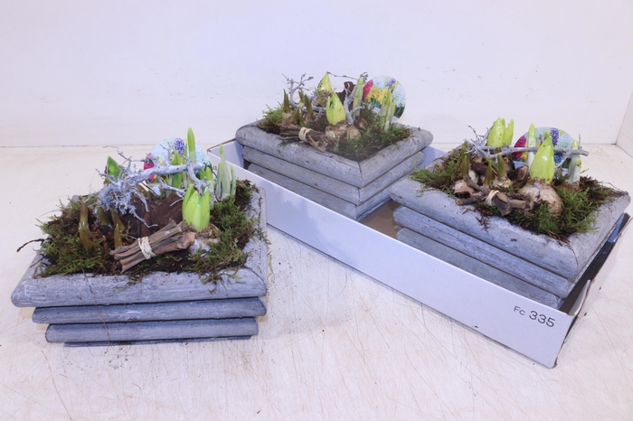 <h4>Arr Bol Knolgewas</h4>