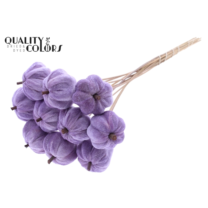<h4>Velvet Pumpkin Ø6cm on stem Milka</h4>