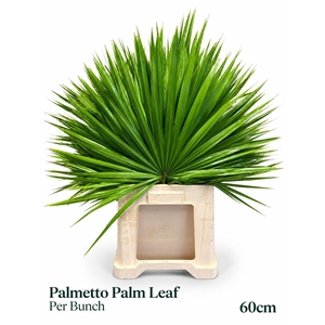 SABAL PALMETTO
