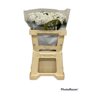 Di Barb Kiwi Bunny White 50cm