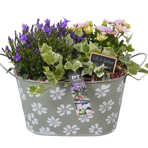 PTPP6901 Arrangement Patio in metalen pot