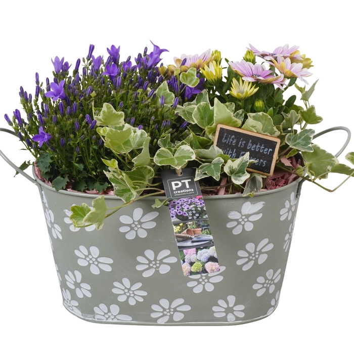 <h4>PTPP6901 Arrangement Patio in metalen pot</h4>