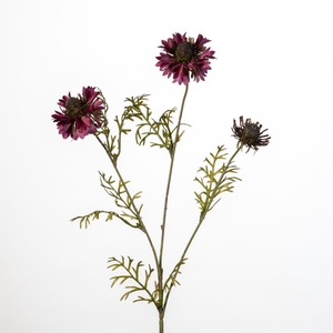 AF Cornflower x3 L68cm D.pink