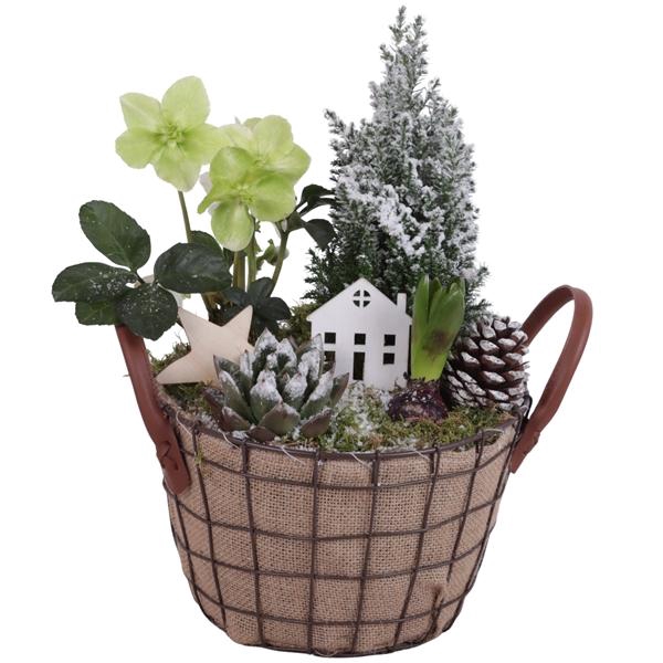 <h4>Winter Arr. Outdoor Metal Wire Basket Jute Ø24cm 4PP</h4>