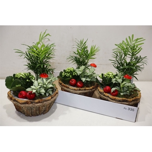 arr8 Arr Kamerpl In Boomschors Bakje