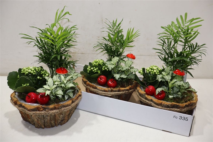 <h4>arr8 Arr Kamerpl In Boomschors Bakje</h4>