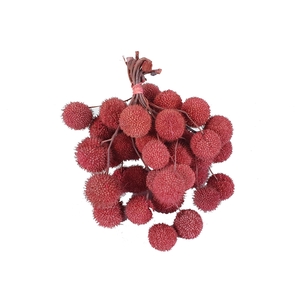 Small ball per bunch in poly Frosted Pink