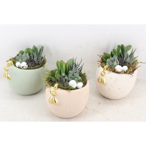 arr3 AD - Ker. Chicky mix