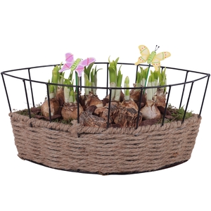 Bulbs Arr. Narcis Metal Frame Rope Pot Boat Ø37cm