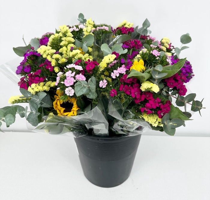 <h4>Bouquet Mix Amalfi (x18 stems)(min 10x4)</h4>