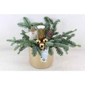 arr5 Kerst JS - Ker. pot dots goud
