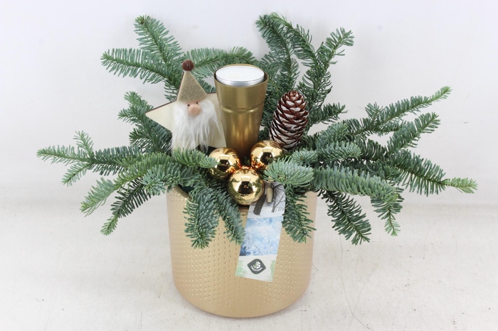 <h4>arr5 Kerst JS - Ker. pot dots goud</h4>