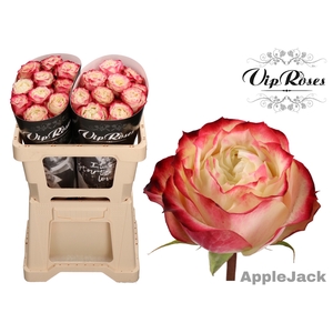 R GR APPLE JACK COLD