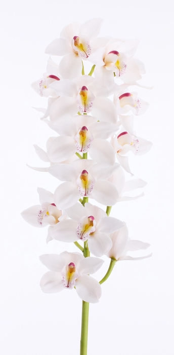 <h4>CYMB T UNIQ WEDDING 60 CM</h4>