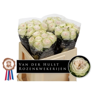 R GR BAL D SUMMERHOU