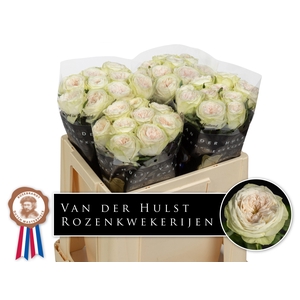 R GR BAL D SUMMERHOU