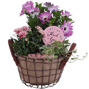 Mothersday Arr. Outdoor Metal Wire Basket Jute Ø24cm 3PP