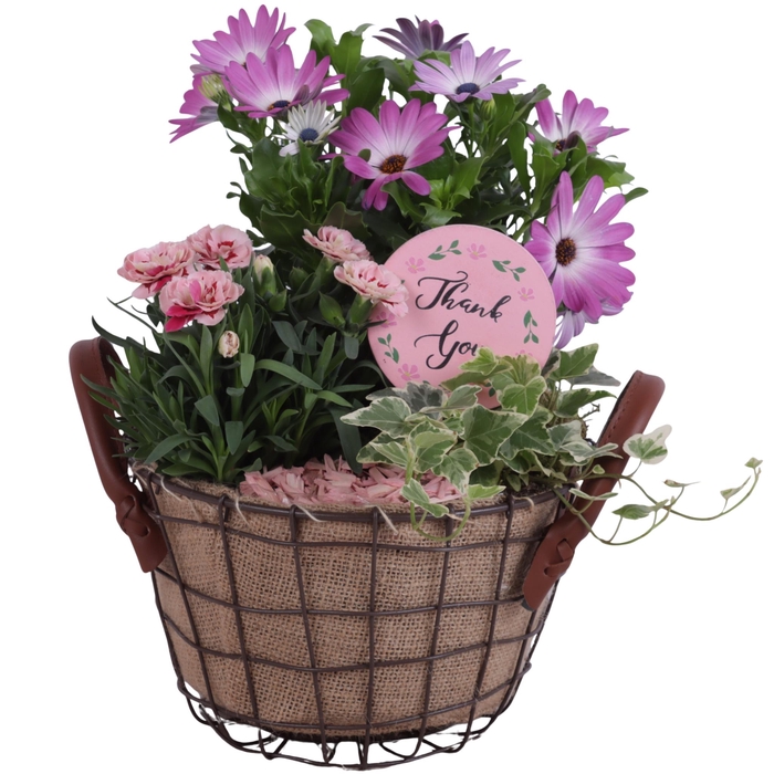 <h4>Mothersday Arr. Outdoor Metal Wire Basket Jute Ø24cm 3PP</h4>