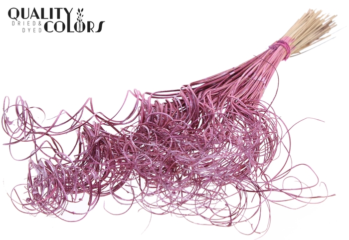 Palm Curly TT 3pc/tuft - 33 tuft/bunch Metallic Pink