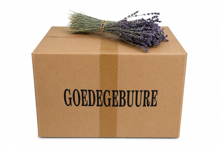 <h4>DROOGBL BEWERKT H%</h4>