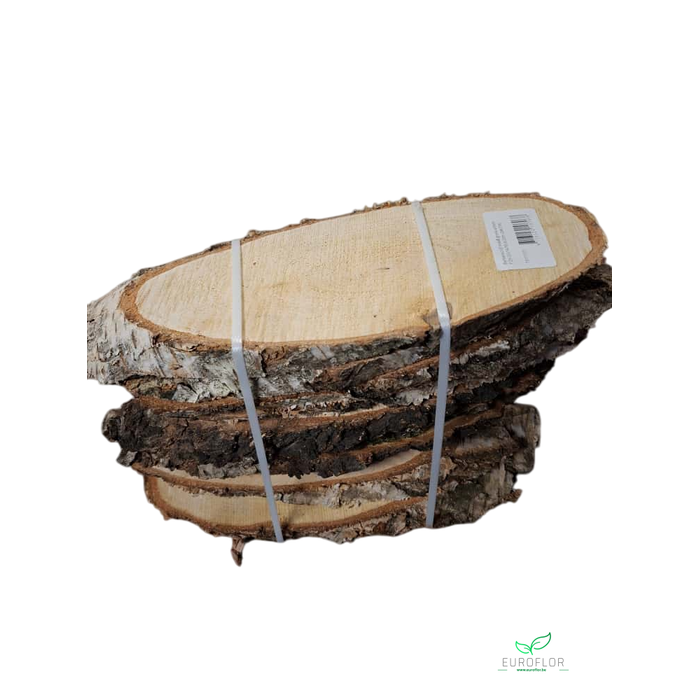<h4>WOOD SLICE BIRCH OVAL 28-32CMX14-16CM H2CM 10PCS</h4>