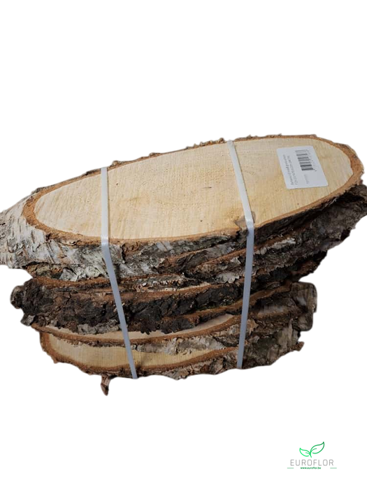 WOOD SLICE BIRCH OVAL 28-32CMX14-16CM H2CM 10PCS