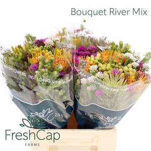 Bouquet River Mix